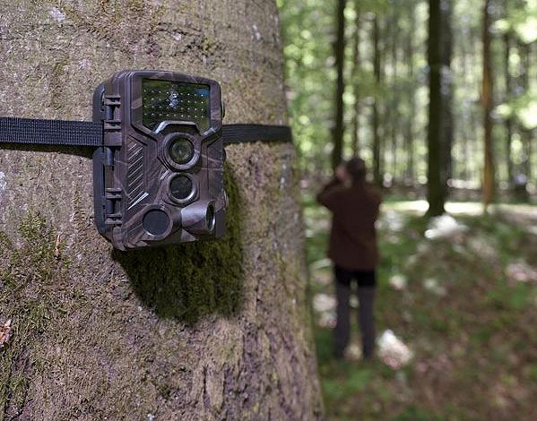 Fototrappola fissata a un albero