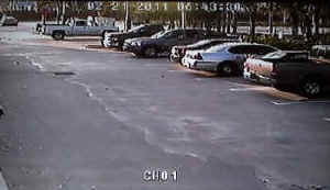 Quad video 1 telecamera