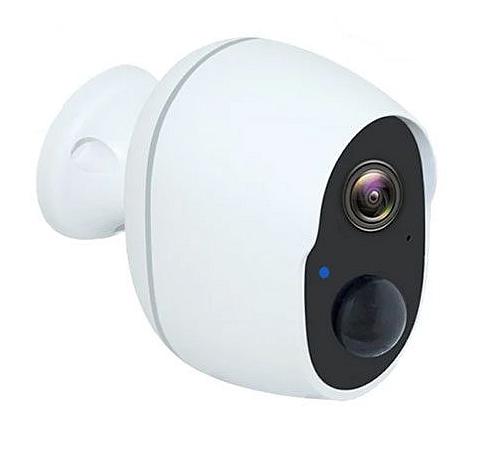Telecamera WIFI infrarossi con registratore SD motion detection e cloud
