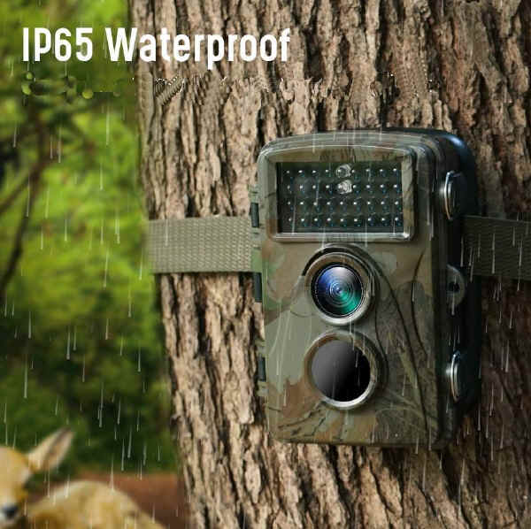 Telecamera fototrappola mimetica fissata a un albero