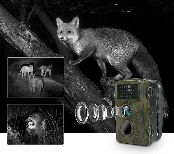 Fototrappola infrarossi per riprese notturne al buio